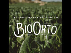Bio Orto Organic Tomato Sauce Arrabbiata (550g / 19.4oz) - Bio Orto - 8051490500886 - Ciao Imports - Authentic Specialty Foods