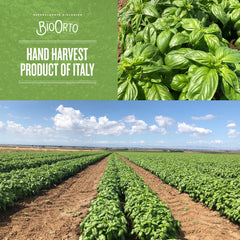 Bio Orto Organic Basil Pesto with Garlic (180g / 6.35oz) - Bio Orto - 8051490501586 - Ciao Imports - Authentic Specialty Foods