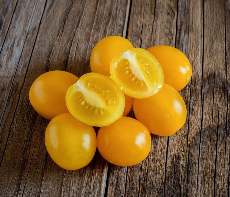Bio Orto Organic Yellow Datterini Tomatoes in Water (360g / 12.70oz) - Bio Orto - 8051490501913 - Ciao Imports - Authentic Specialty Foods